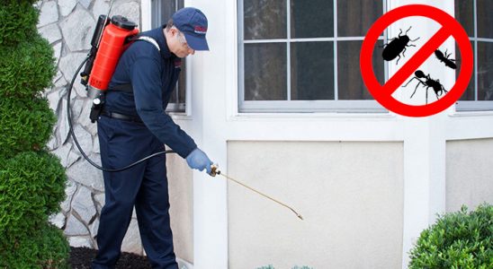 Çatak Fare İlaçlama böcek ilaçlama ve haşere kontrolü — ilaclama-tr.com